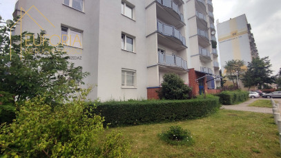 Mieszkanie Wynajem Łódź Polesie Sandomierska
